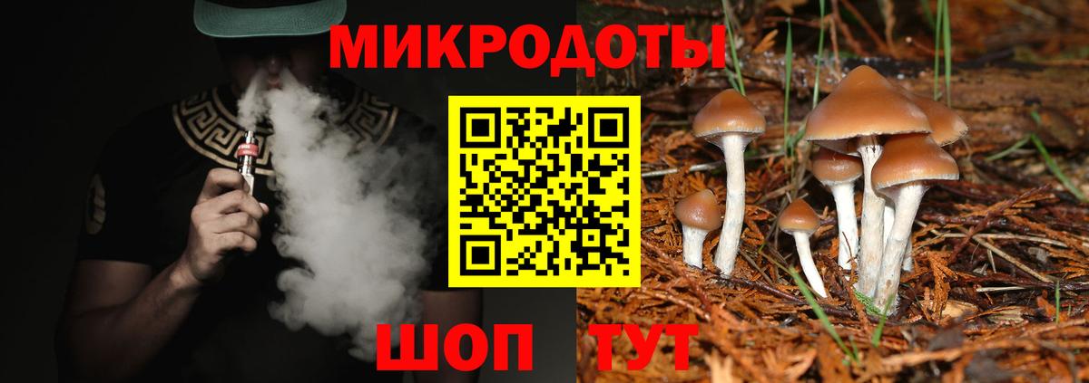 Галлюциногенные грибы прущие грибы Нижний Новгород